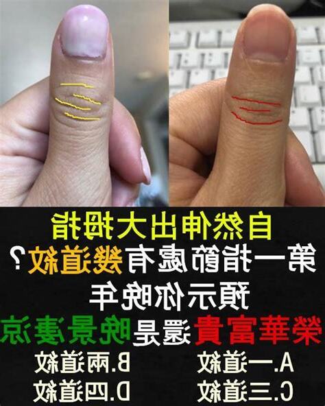 豎 起 大拇指有幾道紋